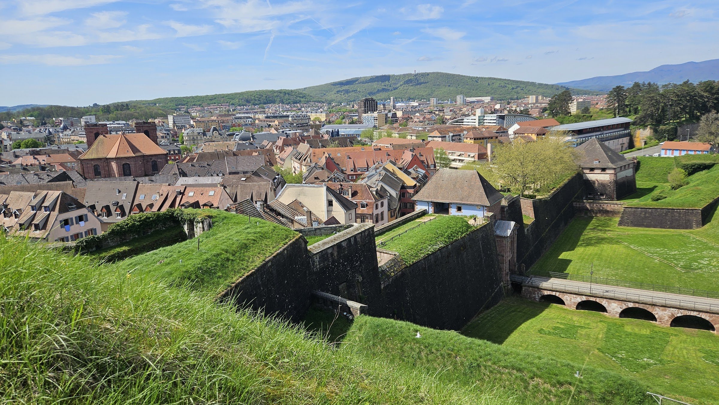 The Lion of Bartholdi